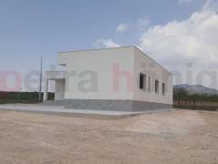 Neubau-Projekte - Einfamilienhaus - Pinoso