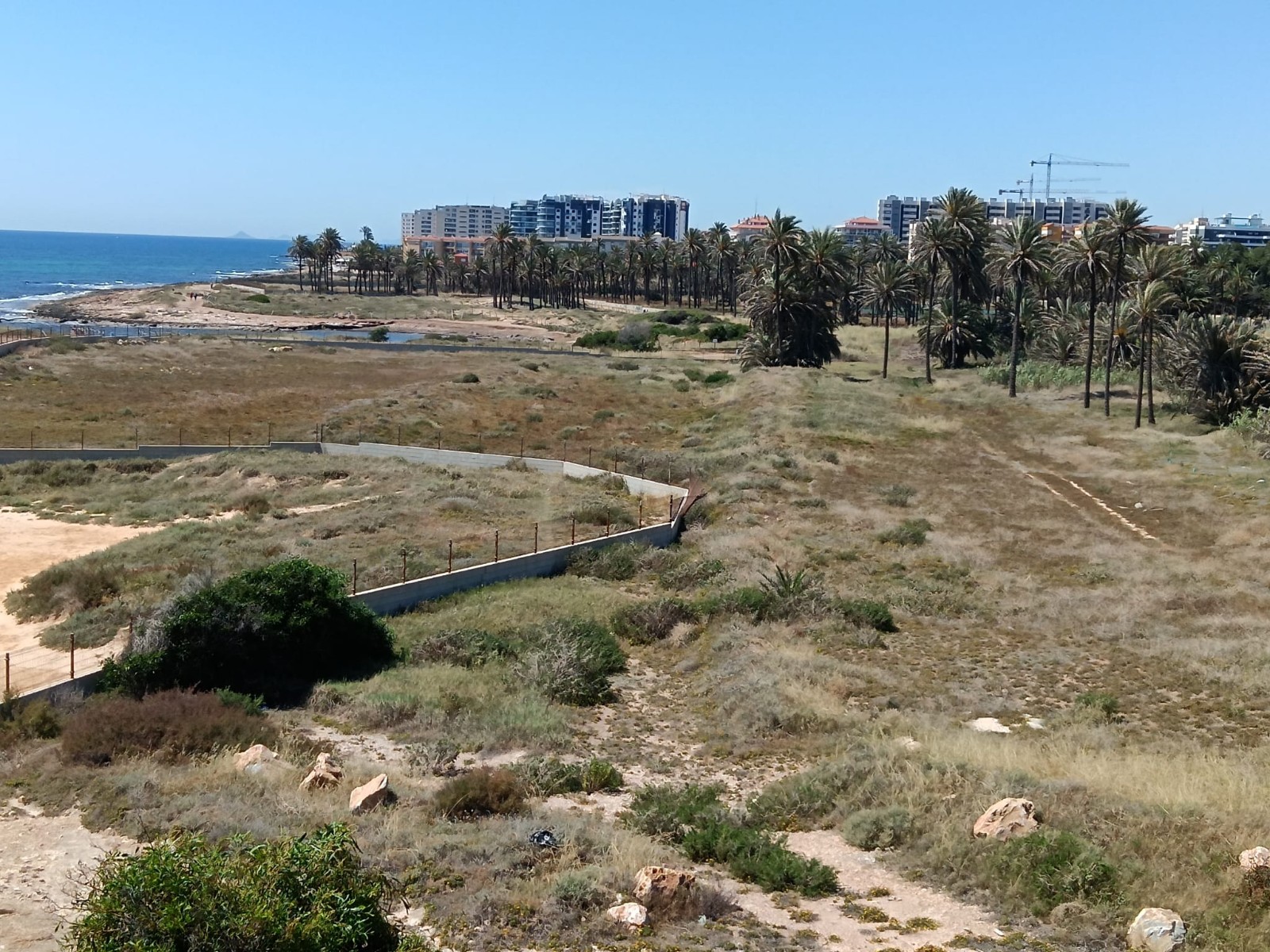 EMA8833Q: Apartment  in Torrevieja